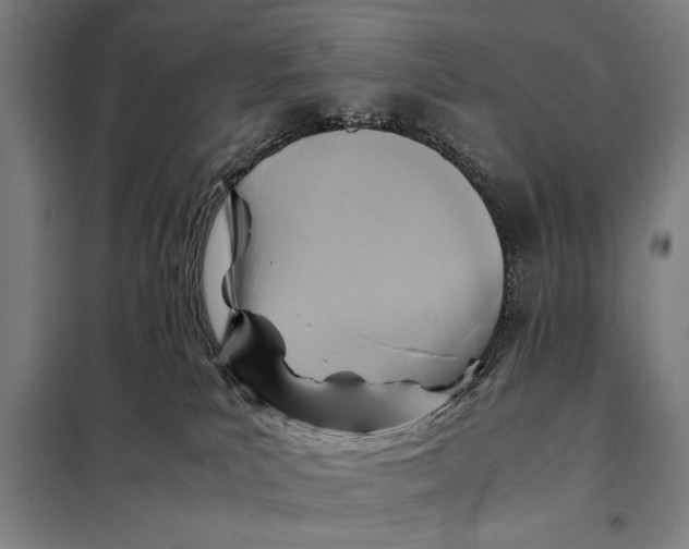 X0000097900039200804041448