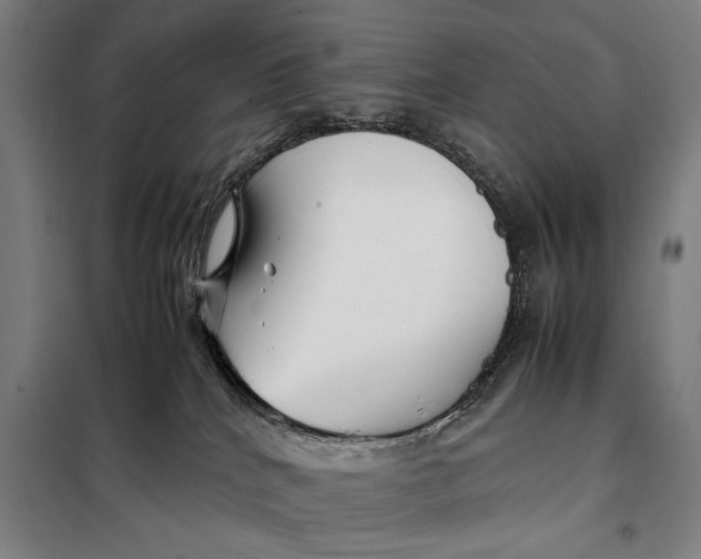 X0000097900040200804041448