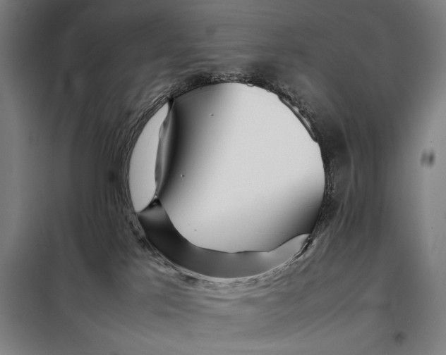 X0000097900041200804041448