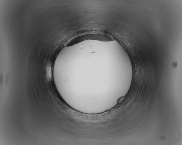 X0000097900042200804041448