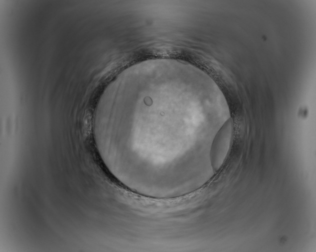 X0000097900043200804041448