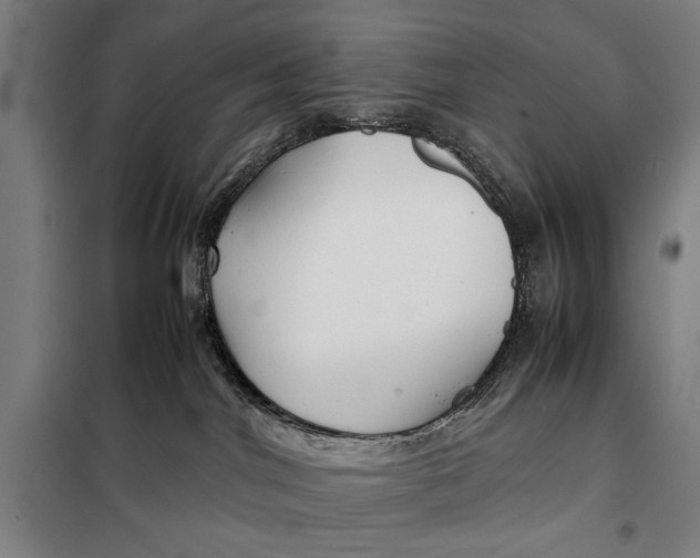 X0000097900044200804041448