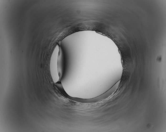 X0000097900045200804041448