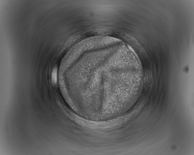 X0000097900046200804041448