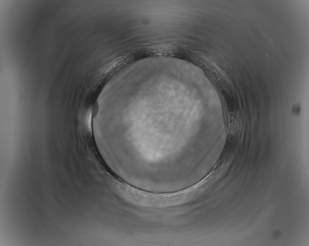 X0000097900047200804041448