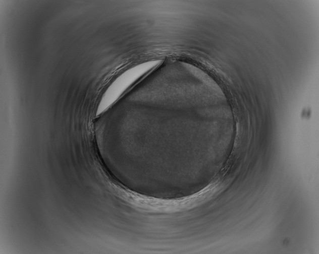 X0000097900048200804041448