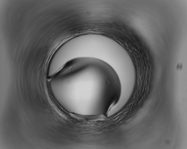 X0000097900049200804041447