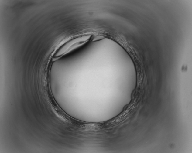 X0000097900050200804041447