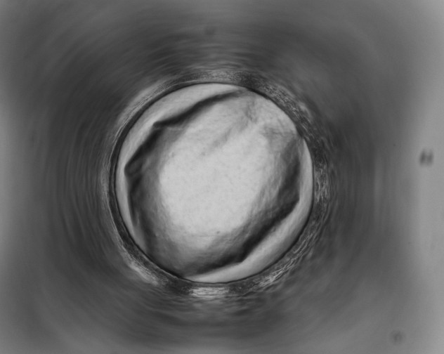 X0000097900051200804041447