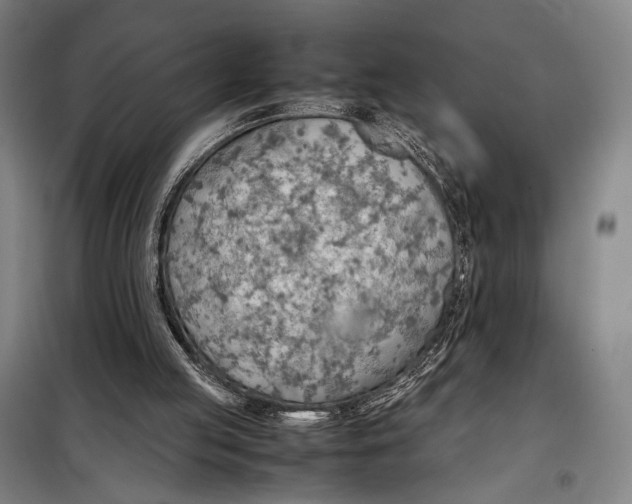 X0000097900053200804041447