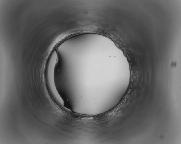 X0000097900054200804041447