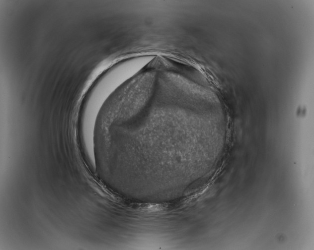 X0000097900056200804041447