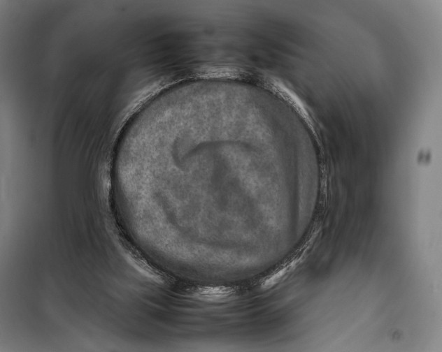 X0000097900059200804041447