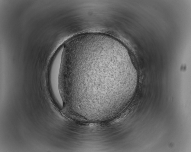 X0000097900060200804041447