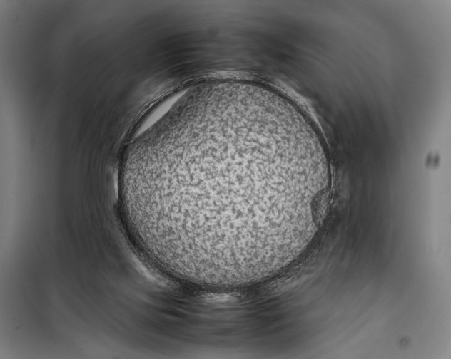 X0000097900061200804041447