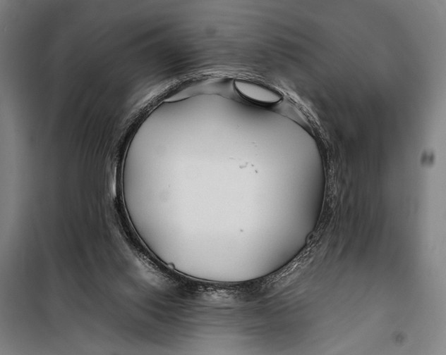 X0000097900062200804041447