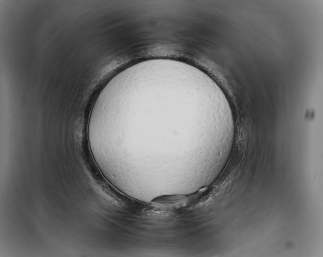 X0000097900063200804041447