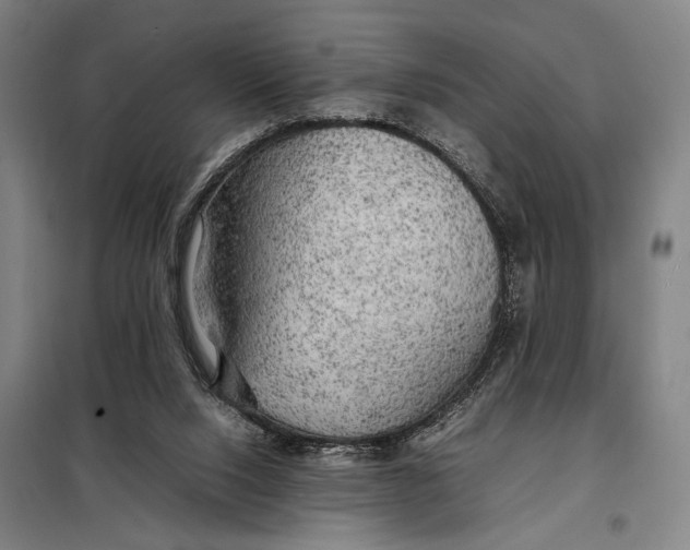 X0000097900064200804041447