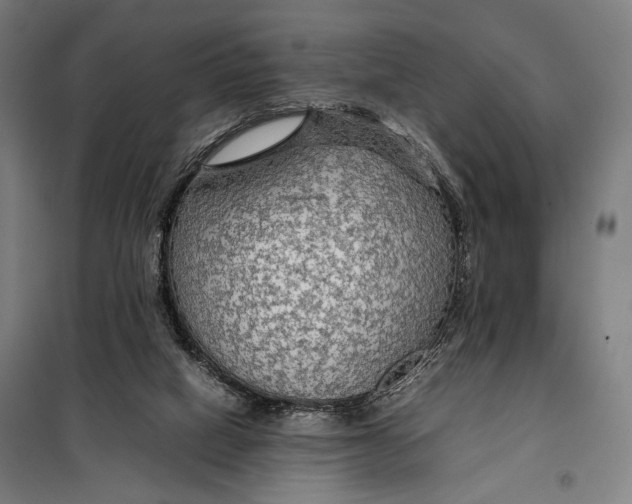 X0000097900066200804041447