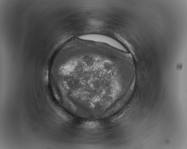 X0000097900067200804041447