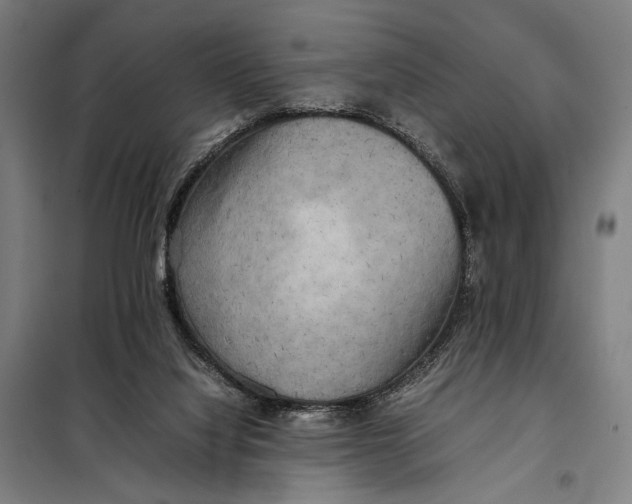 X0000097900068200804041447