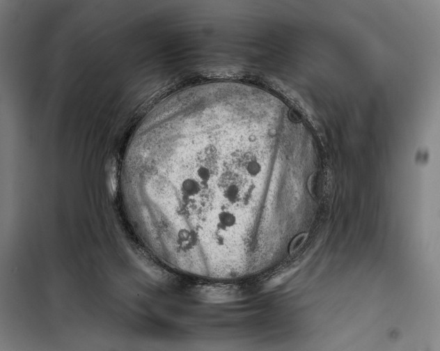 X0000097900069200804041447