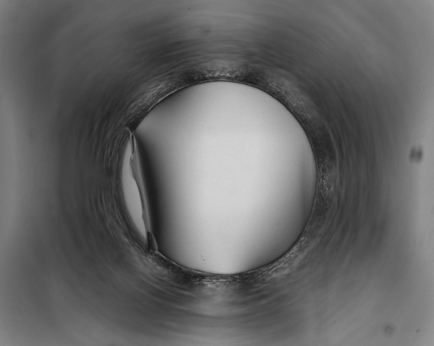 X0000097900070200804041447