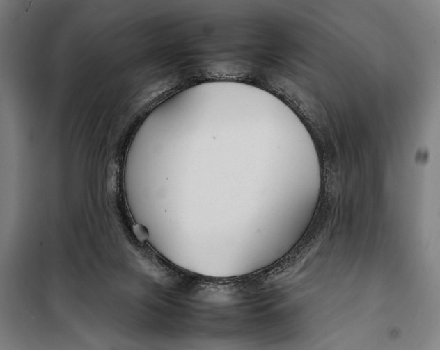 X0000097900071200804041447