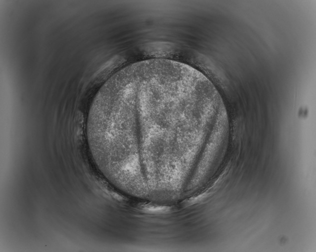 X0000097900073200804041447