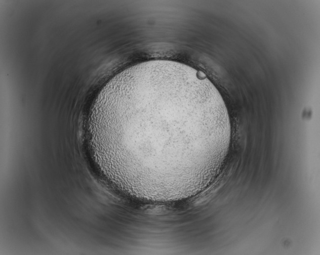 X0000097900074200804041447