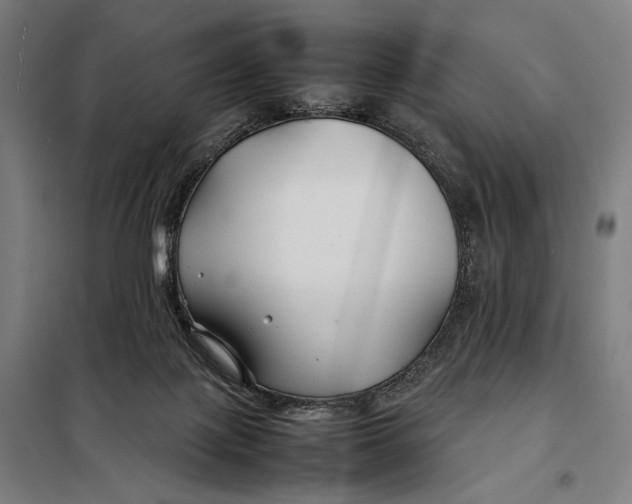 X0000097900075200804041447