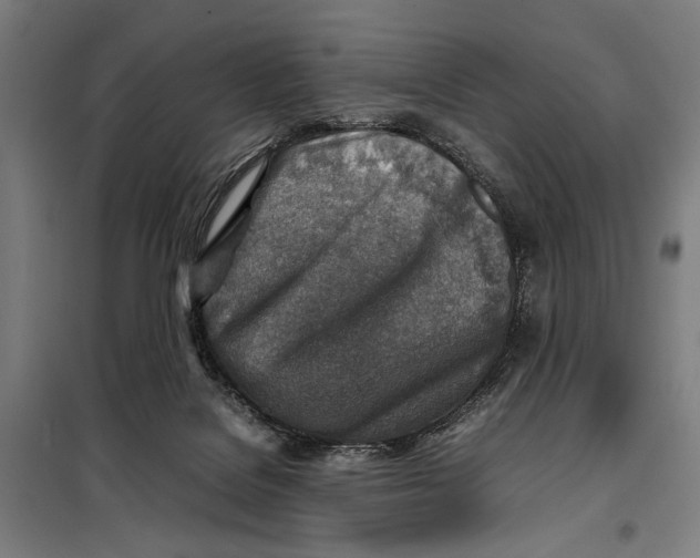 X0000097900076200804041447