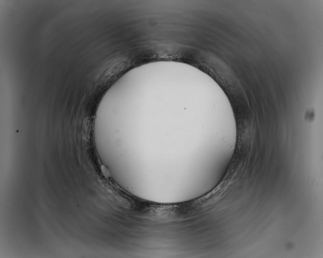 X0000097900078200804041447