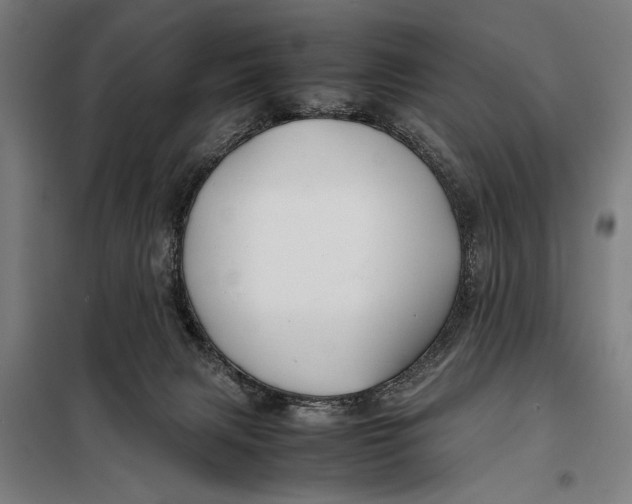 X0000097900079200804041447