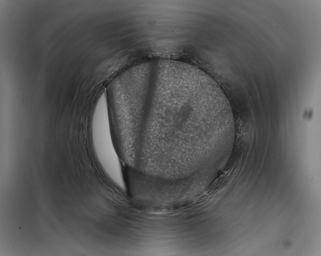 X0000097900080200804041447