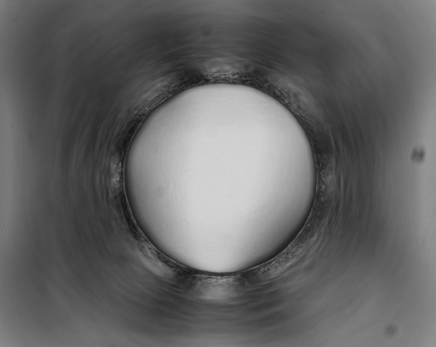 X0000097900081200804041447