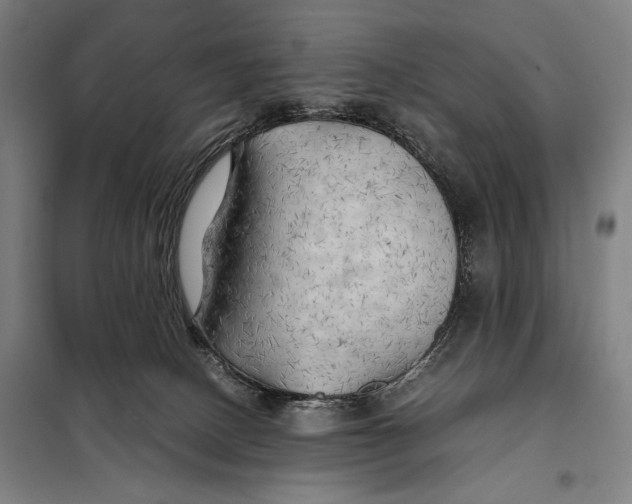 X0000097900082200804041447