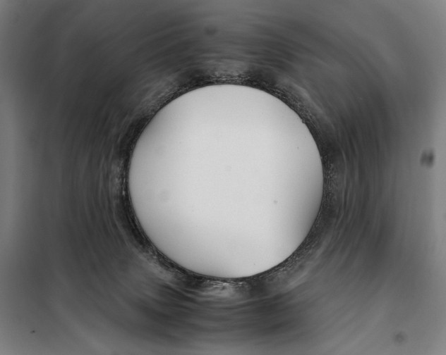 X0000097900083200804041447