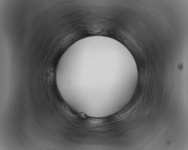 X0000097900085200804041447