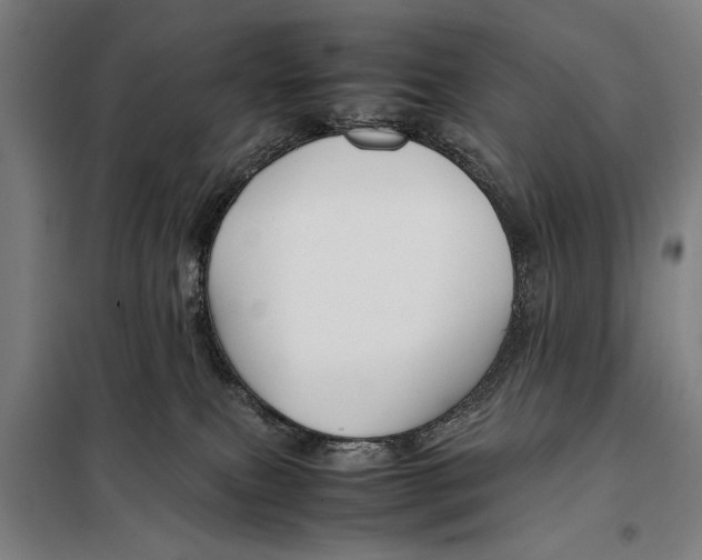 X0000097900087200804041447