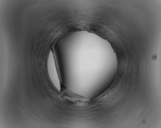 X0000097900088200804041447