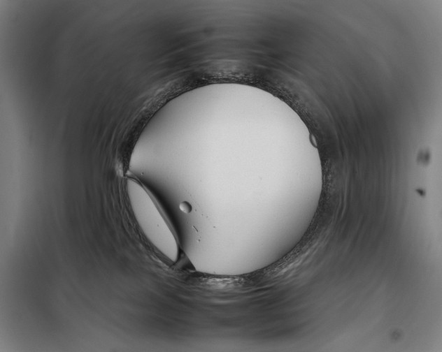 X0000097900089200804041447