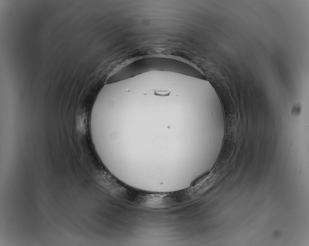 X0000097900090200804041447