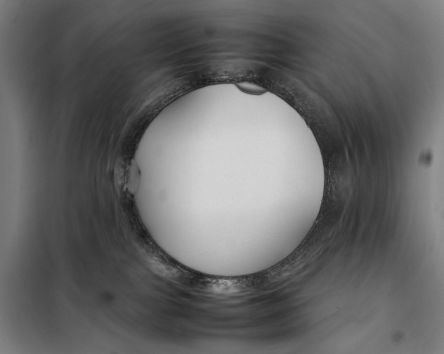 X0000097900091200804041447