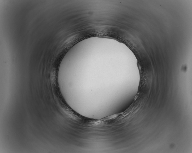 X0000097900092200804041448