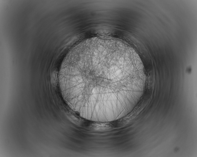 X0000097900093200804041448