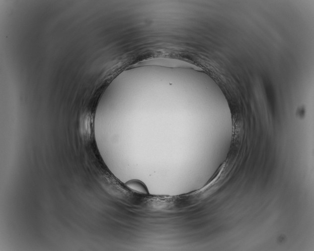 X0000097900094200804041448