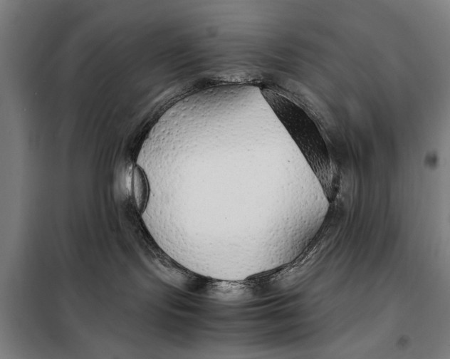 X0000097900095200804041448