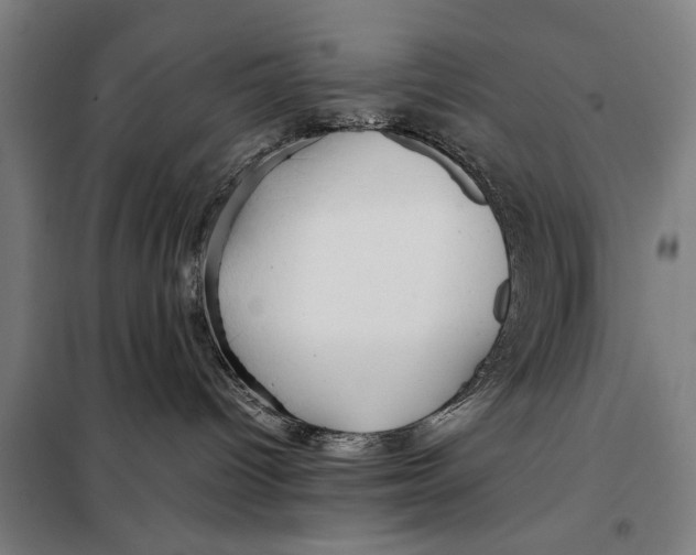 X0000097900096200804041448