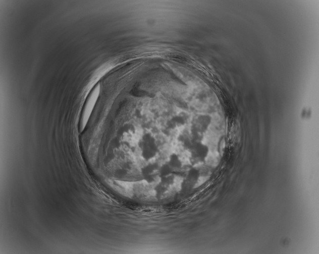 X0000097900099200804041447